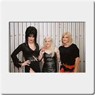 Cassandra Fever, Gina Lance